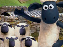 Sing with the Sheep