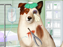 Doctor for Dog with a Blog