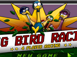 Big Birds Racing 