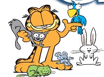 Garfield Curata Petele
