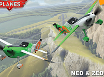 Ned and Zed Planes Puzzle