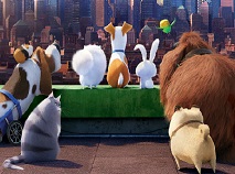 The Secret Life of Pets Find Objects